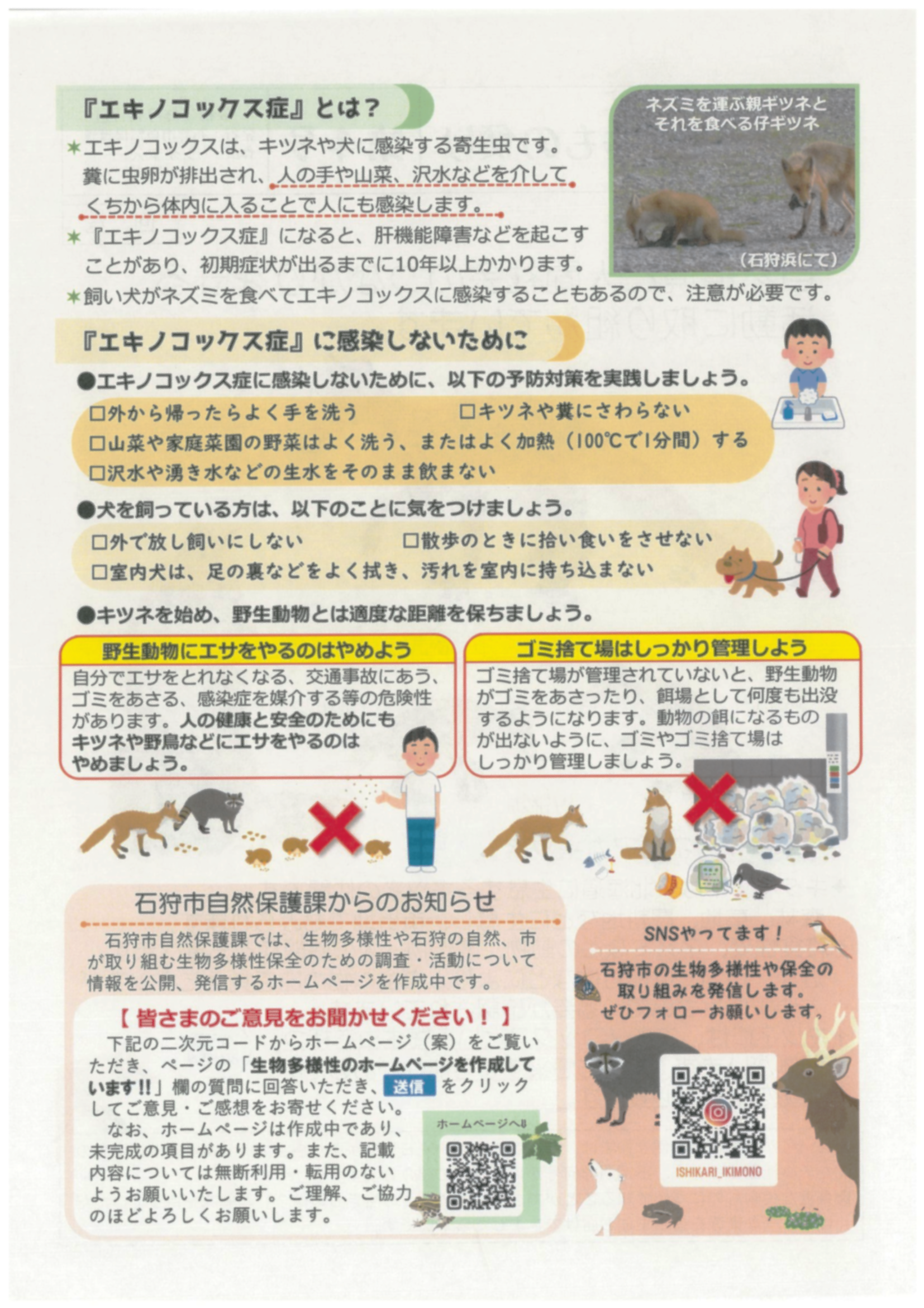 石狩市 自然保護課②