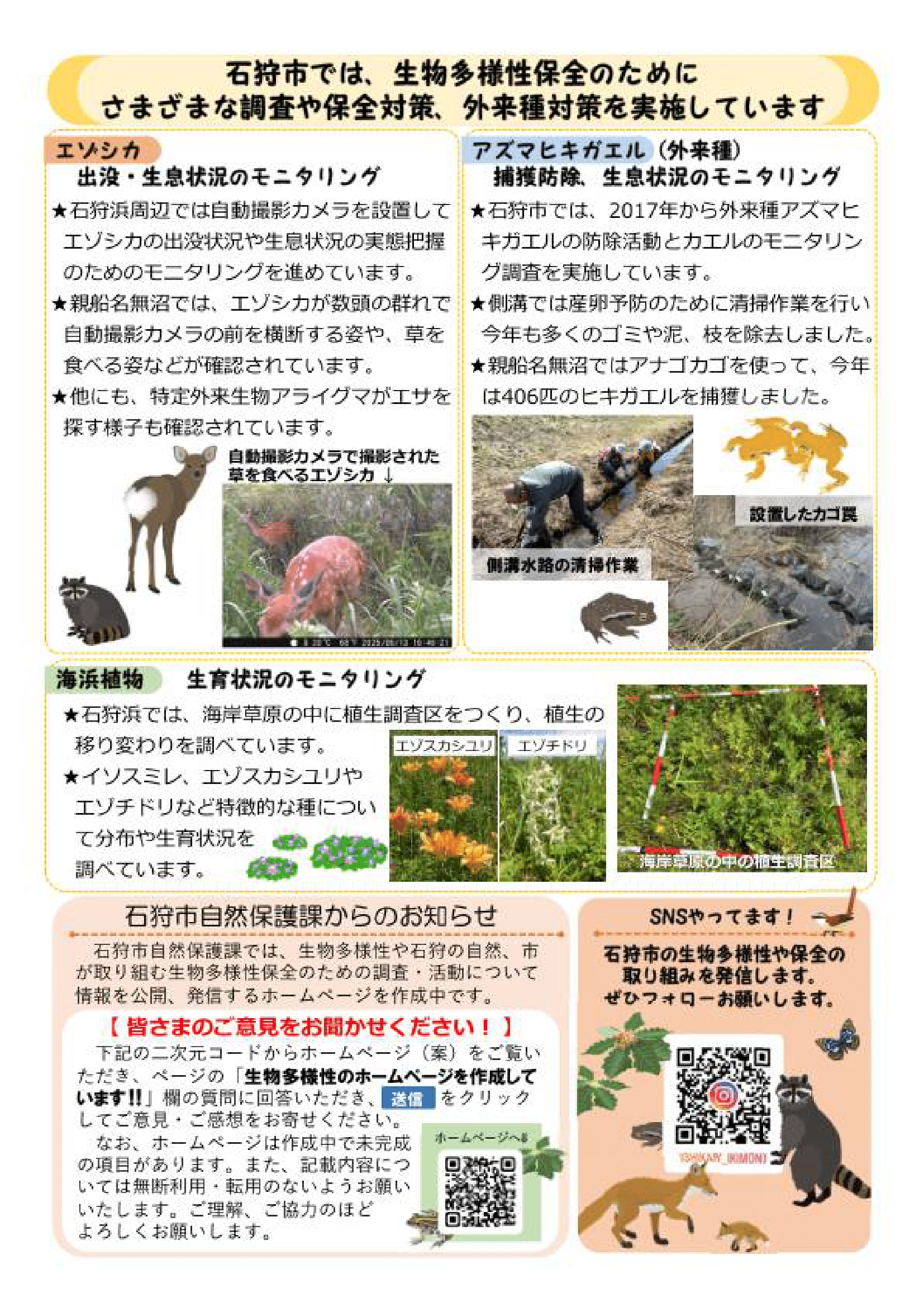 石狩市 自然保護課②